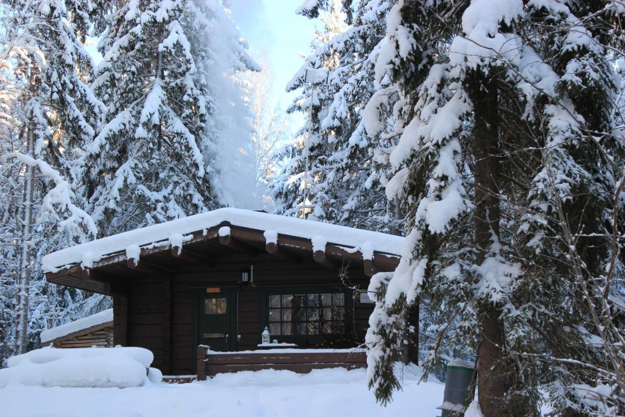 Accommodation And Fishing Vonkale Aanekoski Exterior photo